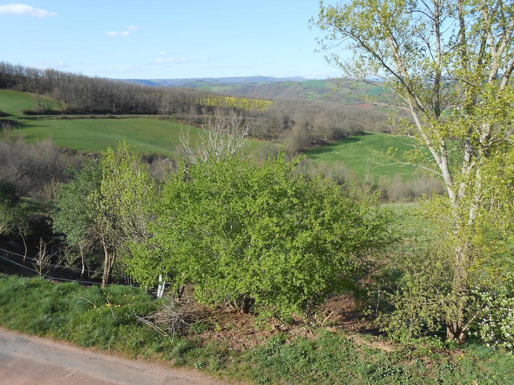 Gite Des Monts Saint-Izaire Exterior foto
