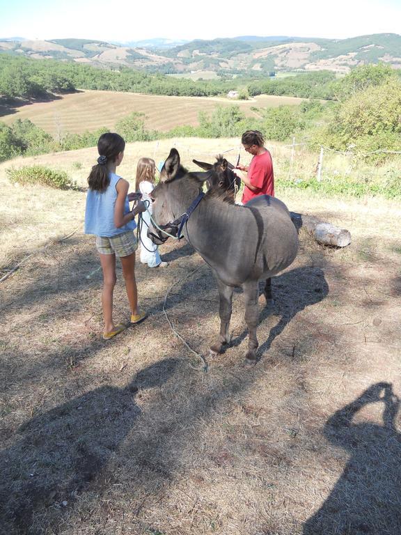 Gite Des Monts Saint-Izaire Exterior foto