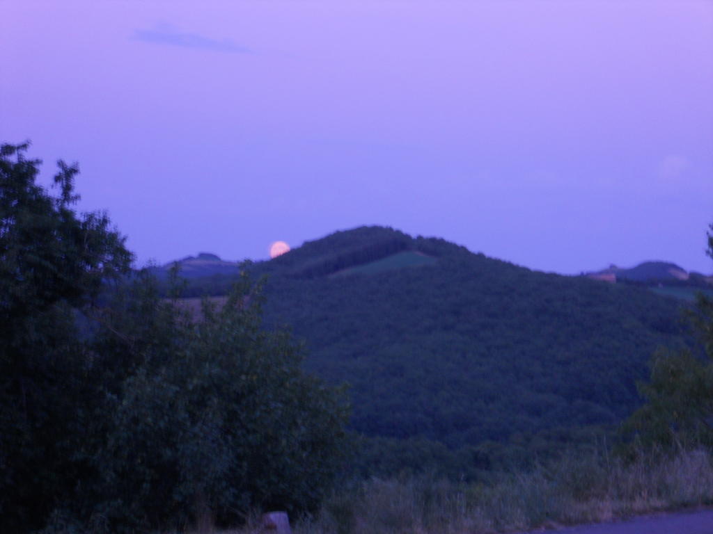 Gite Des Monts Saint-Izaire Exterior foto
