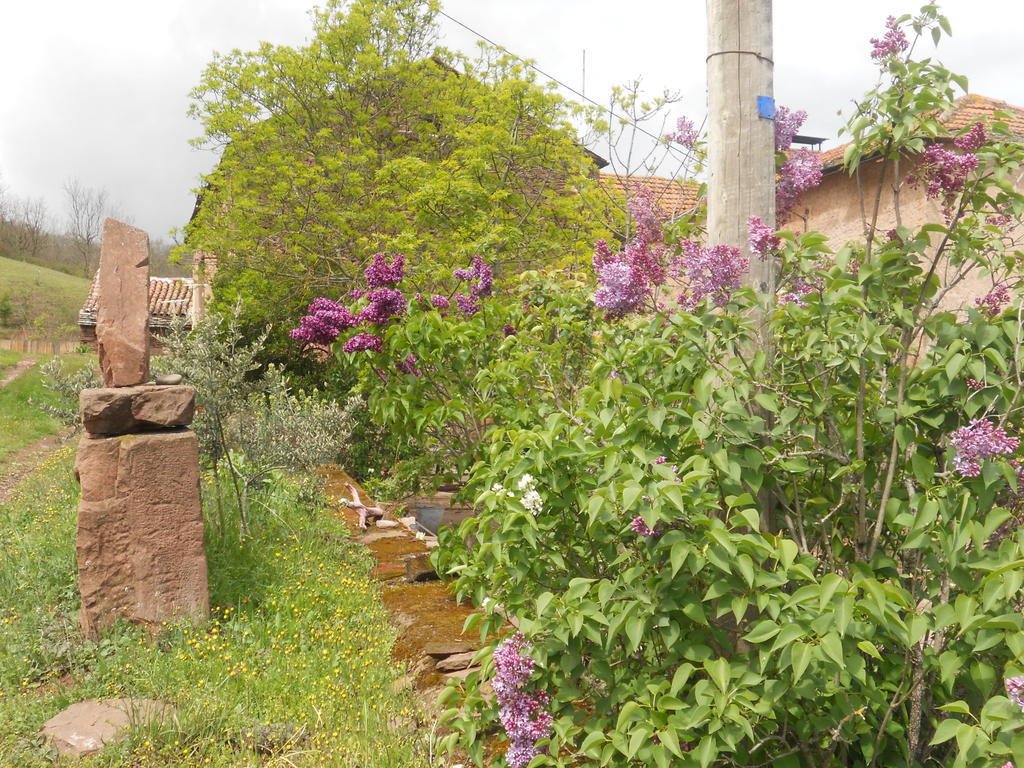 Gite Des Monts Saint-Izaire Exterior foto